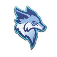 Pikz VPN logo