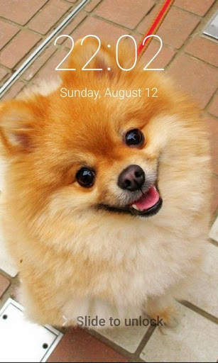 Puppy Dog Pattern Lock Screen Cute Puppy Pin Lock screenshot 6