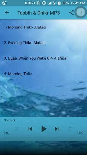 Tasbih & Dhikr MP3 - ALAFASI screenshot 4