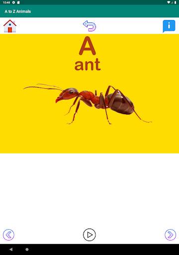 A to Z Animal Names screenshot 6