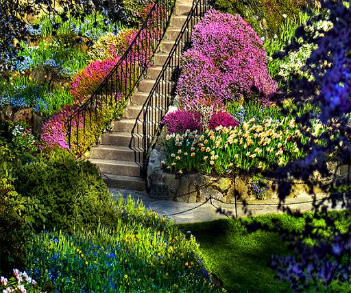 Garden Live Wallpaper screenshot 2