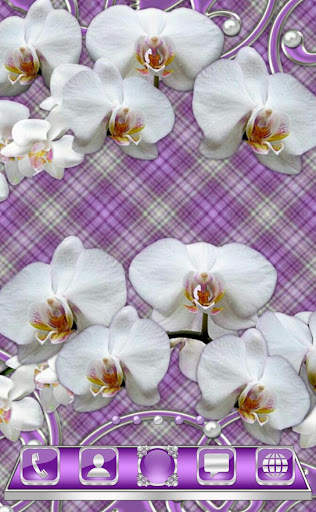 White Orchids Go Launcher theme screenshot 1