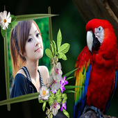 Birds Photo Frames icon