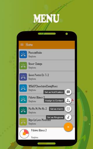 Instrumental Ringtones screenshot 3