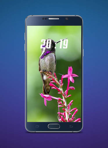 Hummingbird Wallpaper screenshot 3