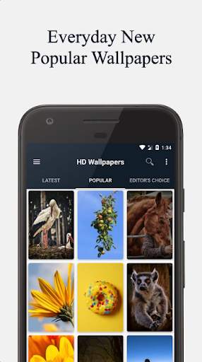 PicsHub - HD Wallpaper App screenshot 2