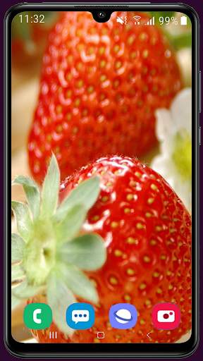 Strawberry Wallpaper Best HD screenshot 13
