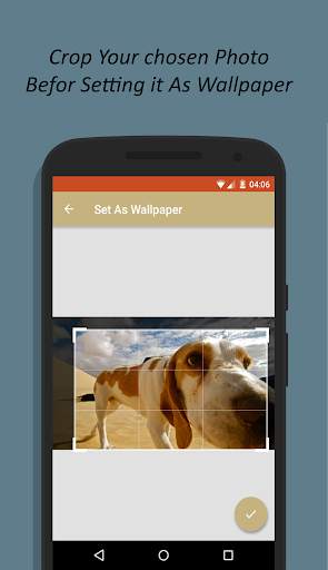 Dog Wallpaper HD screenshot 6