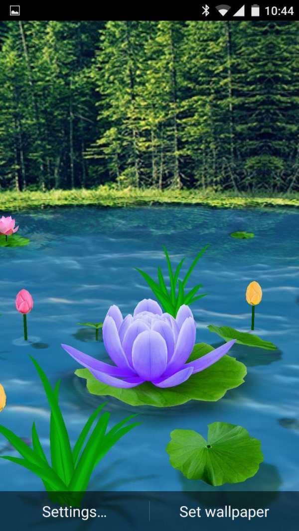 Flower Live Wallpaper 3D screenshot 4