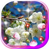 Apples Flowers live wallpaper 1.0