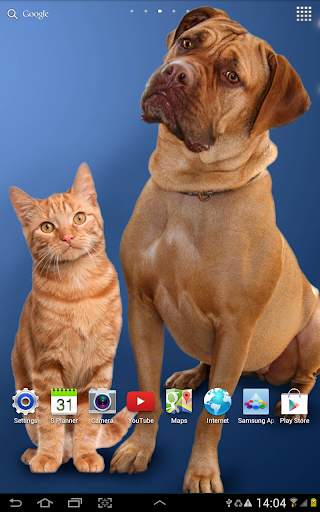Cat Live Wallpaper screenshot 16