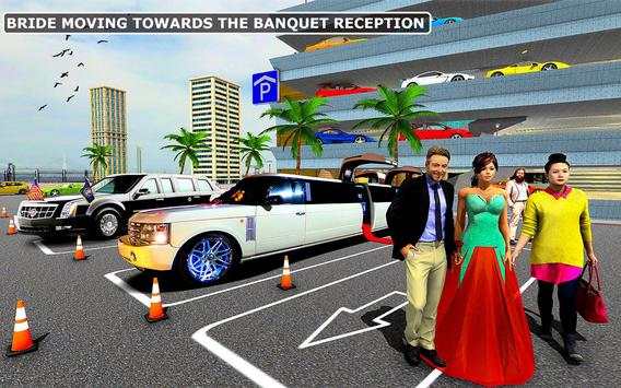 Limo Multi Storey Car Parking screenshot 1