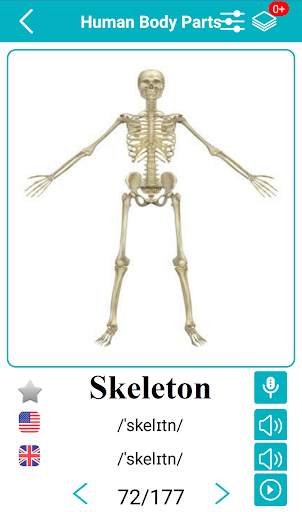 Body Parts Name and Pictures screenshot 2