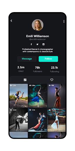 Qvid - Template screenshot 4