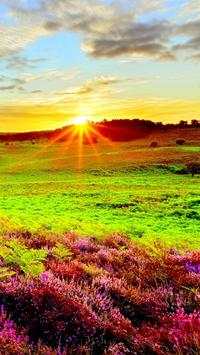 Sunrise Wallpapers screenshot 15