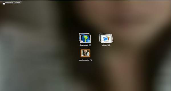 Memory Gallery скриншот 1