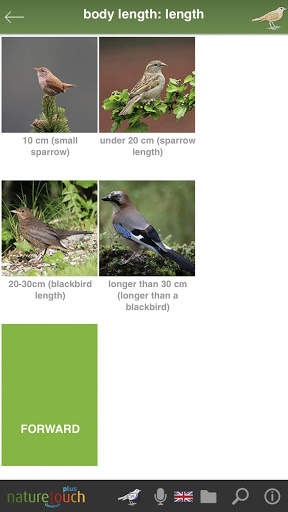Identify live bird songs, naturetouch screenshot 5