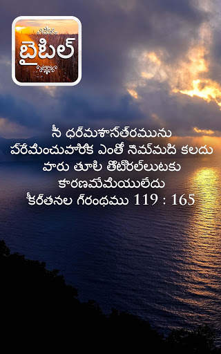 Bible in Telugu screenshot 17