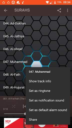 Mahmoud Khalil Al-Hussary Mp3 screenshot 5