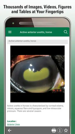 MSD Vet Manual screenshot 4
