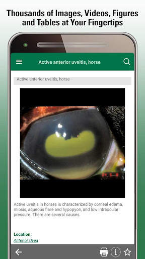 MSD Vet Manual screenshot 4