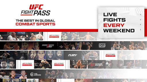 UFC screenshot 8