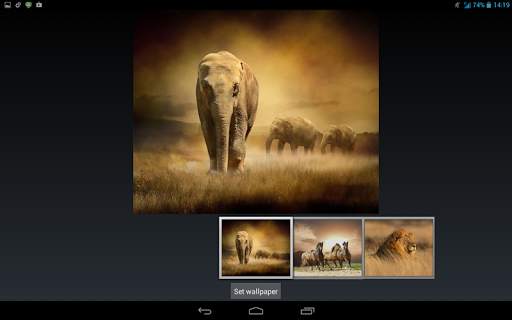 Savanna Animals Theme screenshot 13