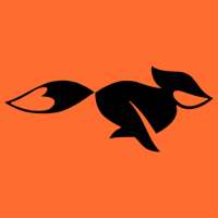 FastFox VPN logo
