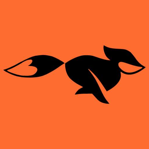 FastFox VPN 1.0