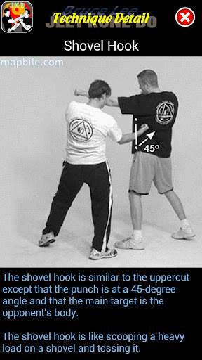 Bruce Lee Jeet Kune Do screenshot 6