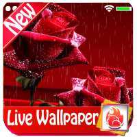 Red Rose Live Wallpaper 2019, Red Rose Background logo
