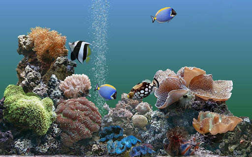 Aquarium Live Wallpapers screenshot 8