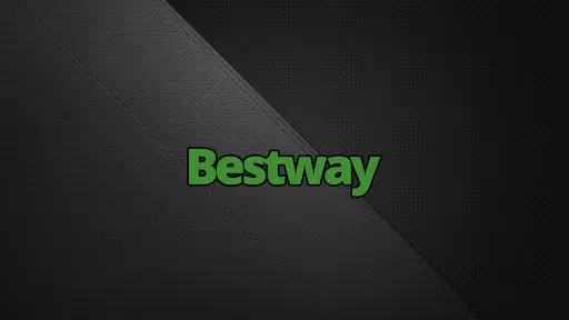 Bestway screenshot 2