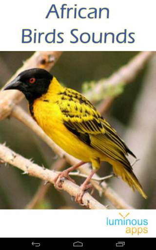 African Birds Sounds Free screenshot 9