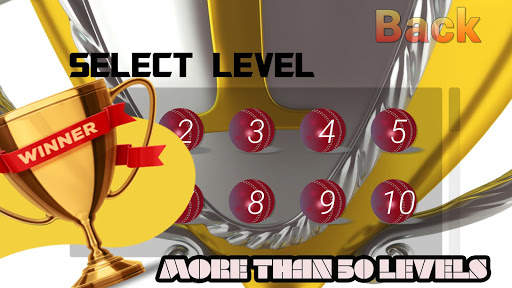 Hit Cricket - Mobile Finger League screenshot 3
