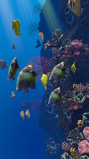 OCEAN AQUARIUM Live Wallpaper FREE screenshot 9