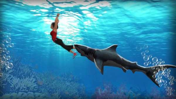 Shark Simulator 3d Game screenshot 4