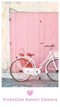Analog film photo - Pinkie screenshot 4