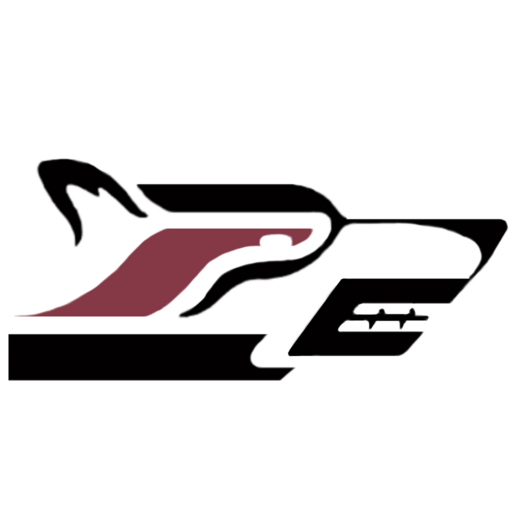 KP Timberwolves أيقونة