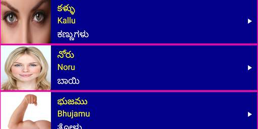 Learn Telugu From Kannada screenshot 14