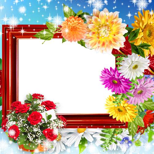 Flower Insta DP , Flower Frames Profile Pic screenshot 7