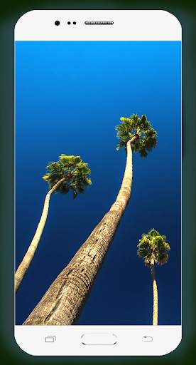 Palm Tree Wallpaper screenshot 16