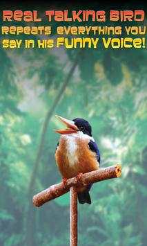 Real Talking Bird screenshot 1