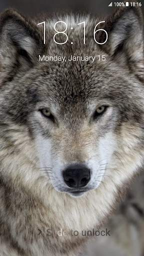 Wolf Pattern Lock Screen 4 تصوير الشاشة