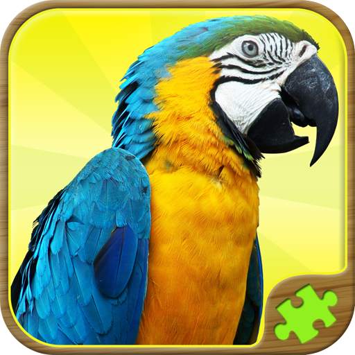 Animal Puzzle Games 55.0.55