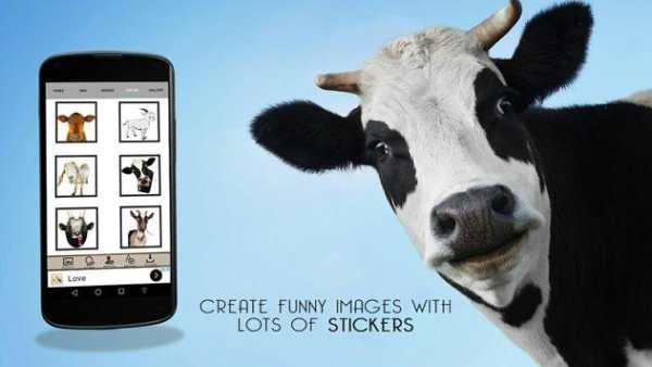 Bakra Eid screenshot 4