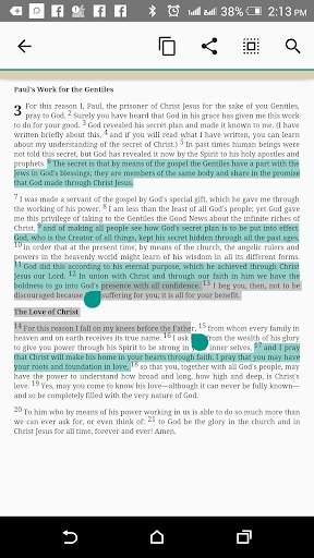 King James Bible (KJV) screenshot 3