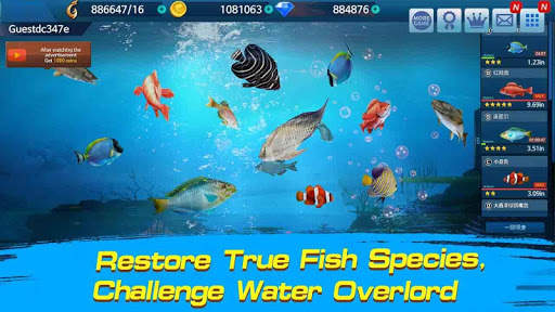 Fishing Championship screenshot 2