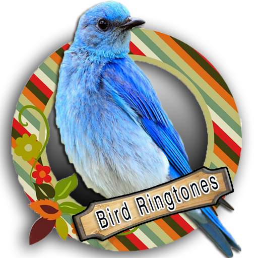 Top Bird Ringtones 1.0