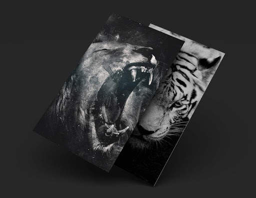 Black Wallpapers HD Offline screenshot 9